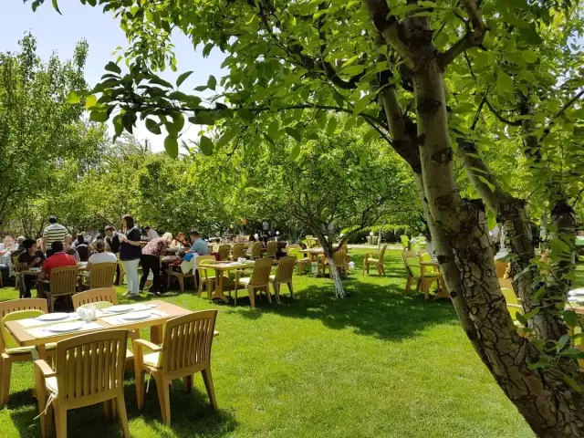 Heybeli Bahçe'nin yemek ve ambiyans fotoğrafları 9
