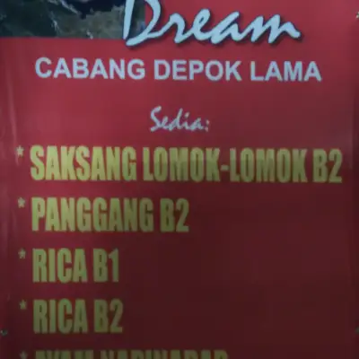 Lapo Samosir Dream