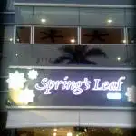 Spring's Leaf Cafe Food Photo 1
