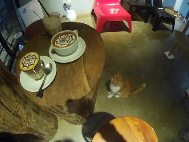 Coffee Cottage Cat Cafe Food Photo 16