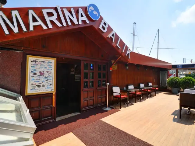 Marina Balık'nin yemek ve ambiyans fotoğrafları 5