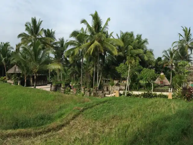 Gambar Makanan Mr.Wayan Balinese Cuisine @ Wapa Di Uma 11