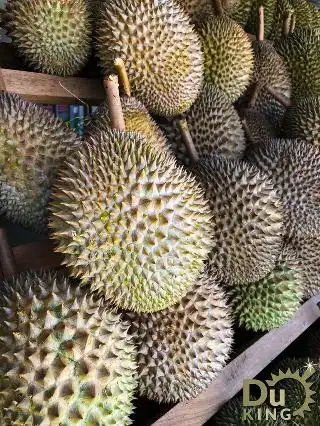 DuKing Durian