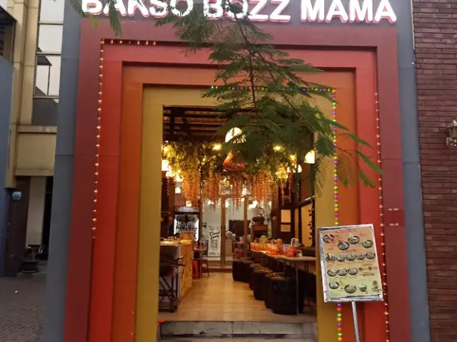 Gambar Makanan Bakso Bozz Mama 1