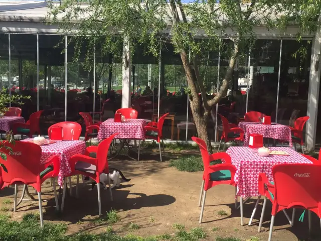Kırmızı Koltuk Çay Bahçesi'nin yemek ve ambiyans fotoğrafları 20