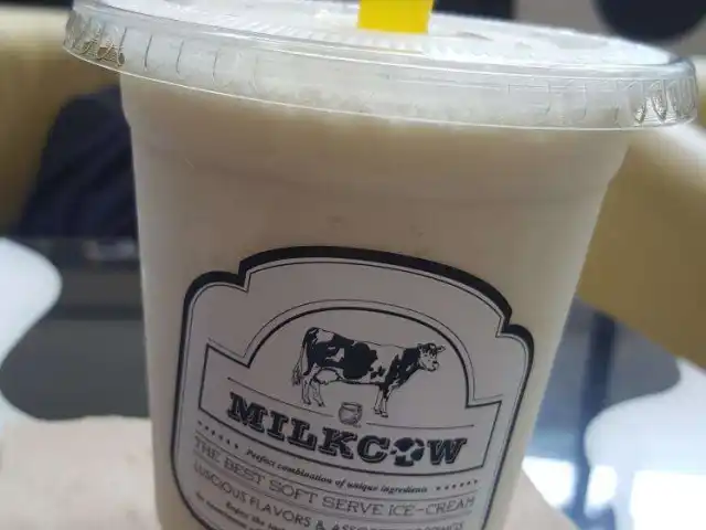 Milkcow Food Photo 18