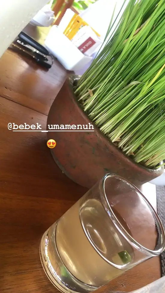 Gambar Makanan Bebek Uma Menuh 18