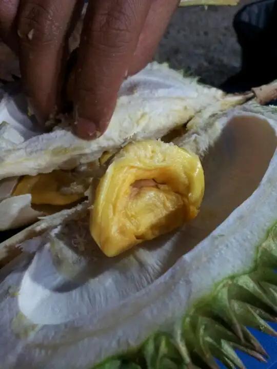 Durian Buffet Seksyen 7 Food Photo 6