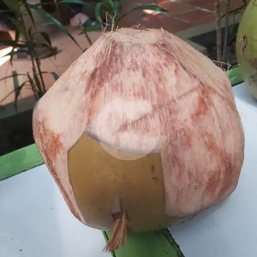 Gambar Makanan Kelapa Muda Mang Asep Nama Rina 3