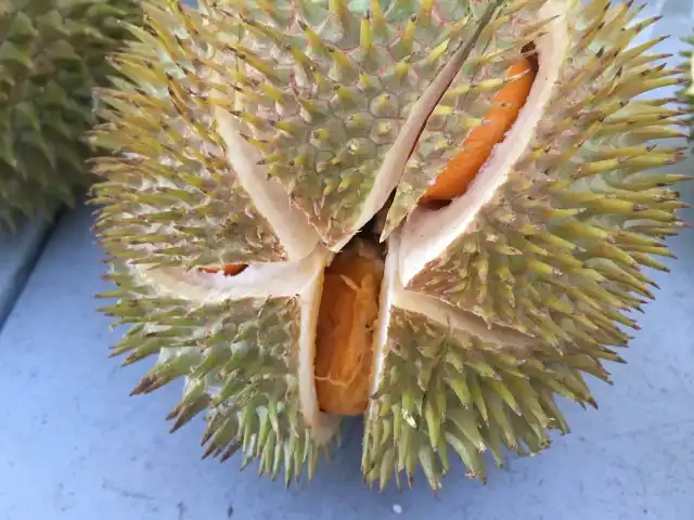 Siva Ah Fook Durian Store 88 Food Photo 15