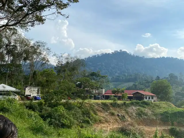 Kopi Ladang Janda Baik Food Photo 10