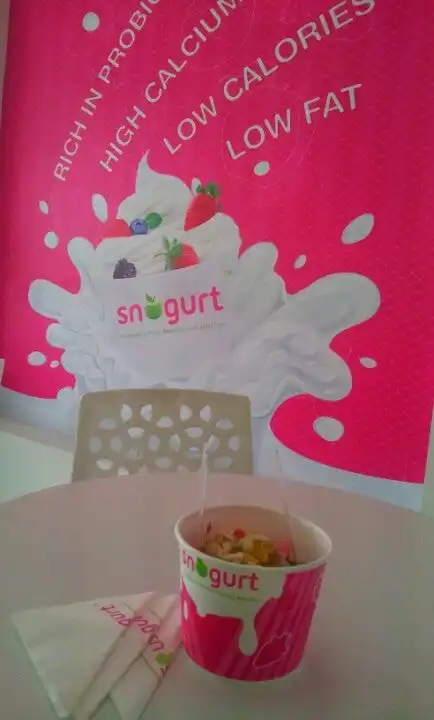 Snogurt Food Photo 9