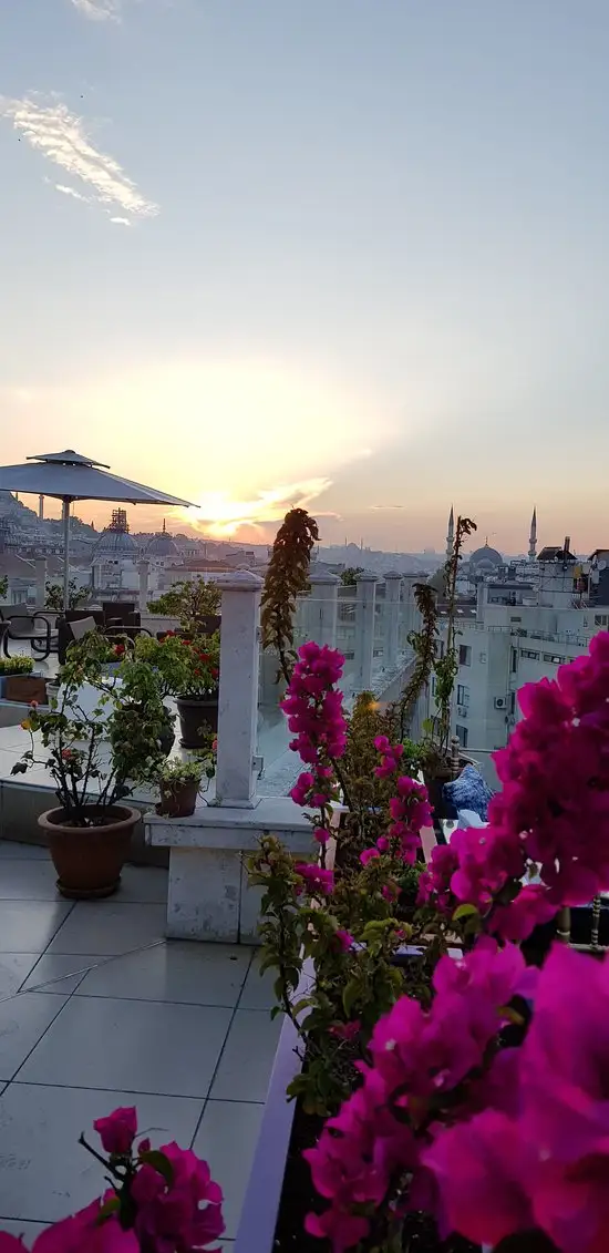 Roof Mezze 360'nin yemek ve ambiyans fotoğrafları 31