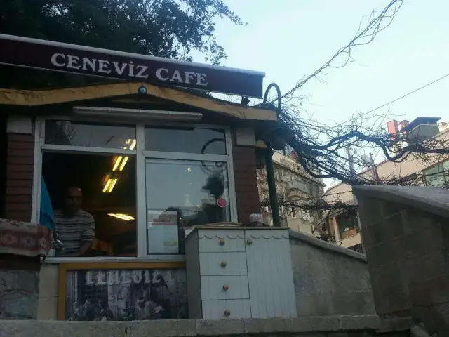 Ceneviz Cafe'nin yemek ve ambiyans fotoğrafları 5