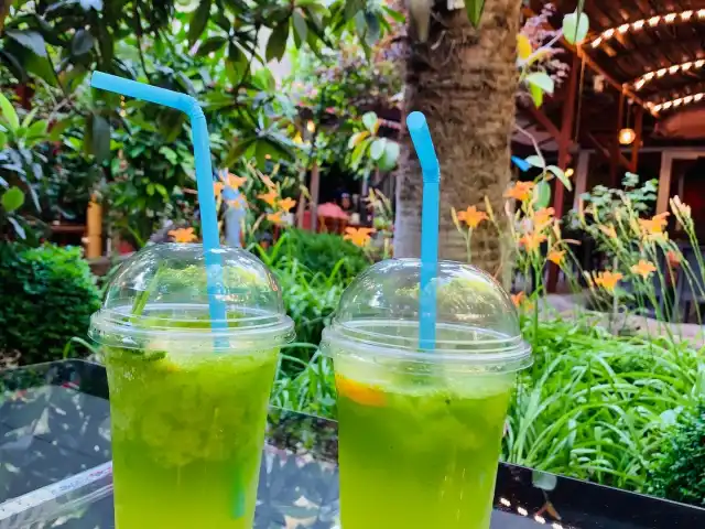 Palmiye Cafe Saklı Cennet'nin yemek ve ambiyans fotoğrafları 4