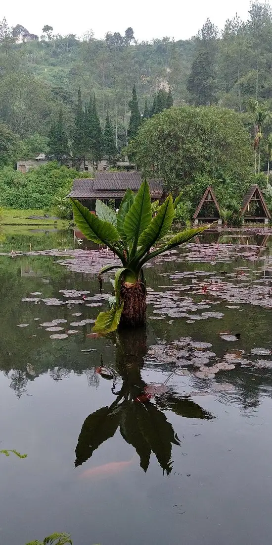 Gambar Makanan Imah Seniman 2