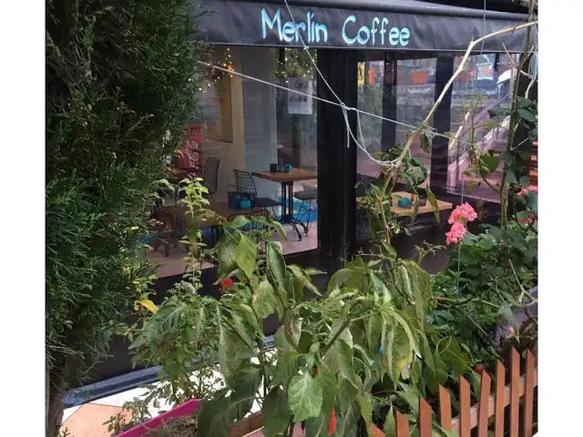 Merlin Coffee'nin yemek ve ambiyans fotoğrafları 3