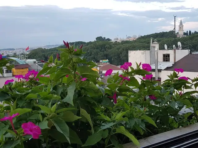 Roof Mezze 360'nin yemek ve ambiyans fotoğrafları 32