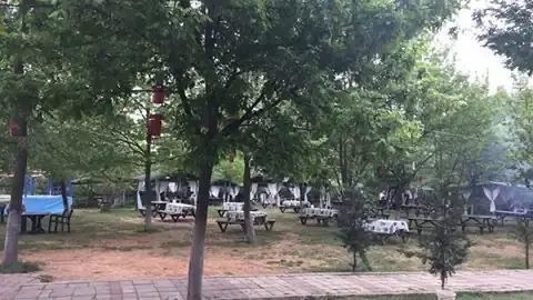 Meşe Altı Piknik Yeri & Restaurant'nin yemek ve ambiyans fotoğrafları 7