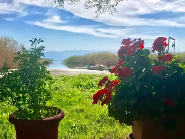 Balikci Esat'in Yeri'nin yemek ve ambiyans fotoğrafları 12