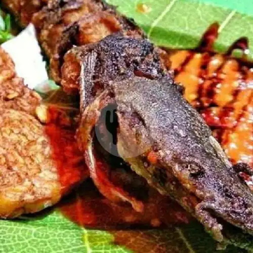 Gambar Makanan Pecel Lele, Ayam Bakar Bng Ucup, Makasar 10