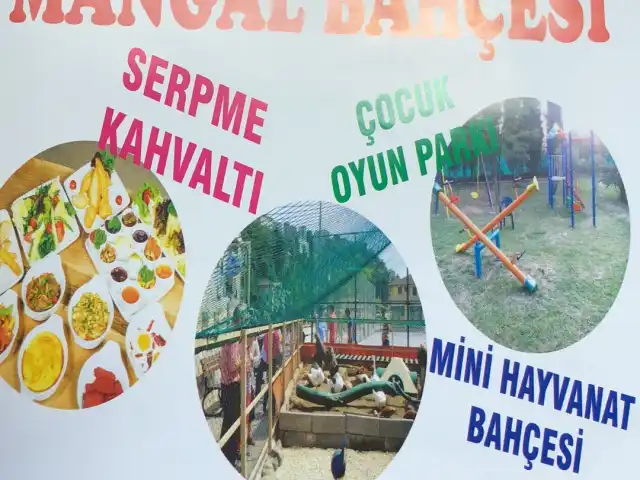 haydi gel kahvaltı ve mangal evi'nin yemek ve ambiyans fotoğrafları 4