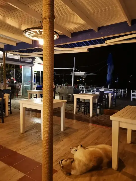 Kiyi Beach Restaurant'nin yemek ve ambiyans fotoğrafları 3
