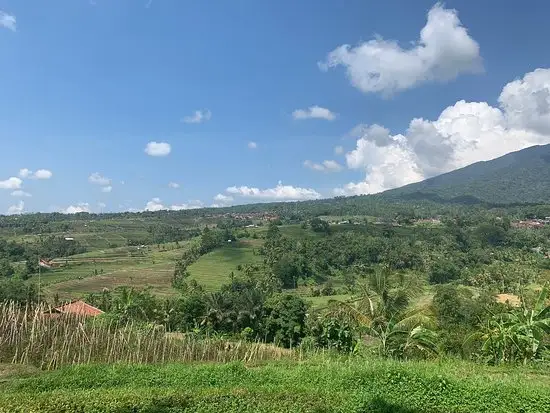 Gambar Makanan Jati Harum Bali 17