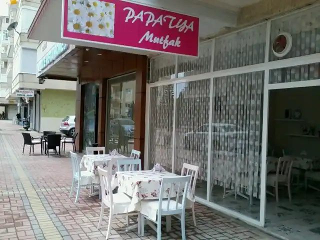 Papatya Mutfak'nin yemek ve ambiyans fotoğrafları 2