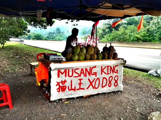 Bentong Durian Stall Food Photo 16