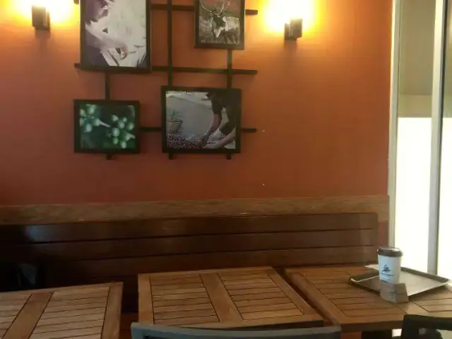 Caribou Coffee'nin yemek ve ambiyans fotoğrafları 14