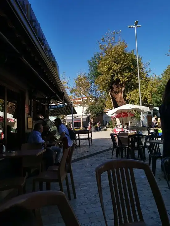 Asırlık Kanlıca Yoğurdu'nin yemek ve ambiyans fotoğrafları 5