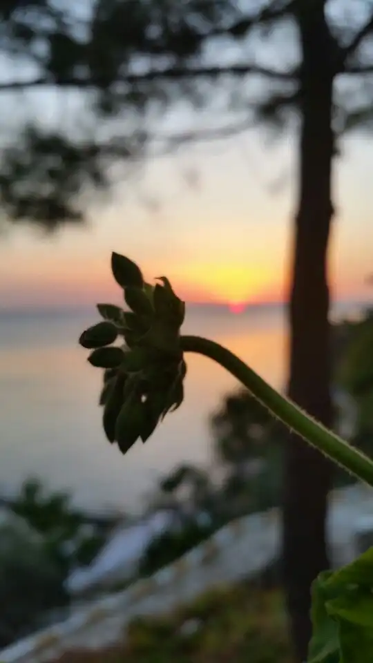 Beyaz Cafe'nin yemek ve ambiyans fotoğrafları 8