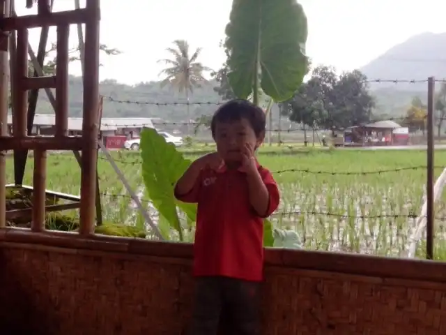 Gambar Makanan RM. Saung Bambu Racik Desa 13