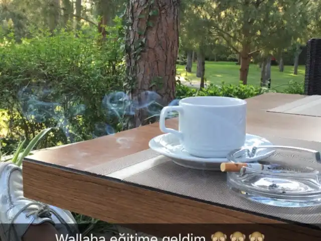 La Noblesse'nin yemek ve ambiyans fotoğrafları 10