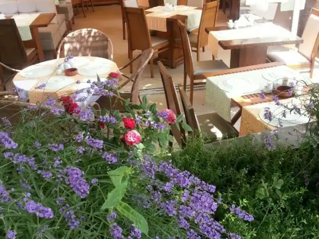 Zaguda Restaurant'nin yemek ve ambiyans fotoğrafları 2