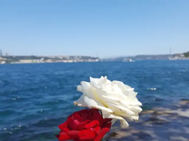 Üsküdar paçi cafe'nin yemek ve ambiyans fotoğrafları 15