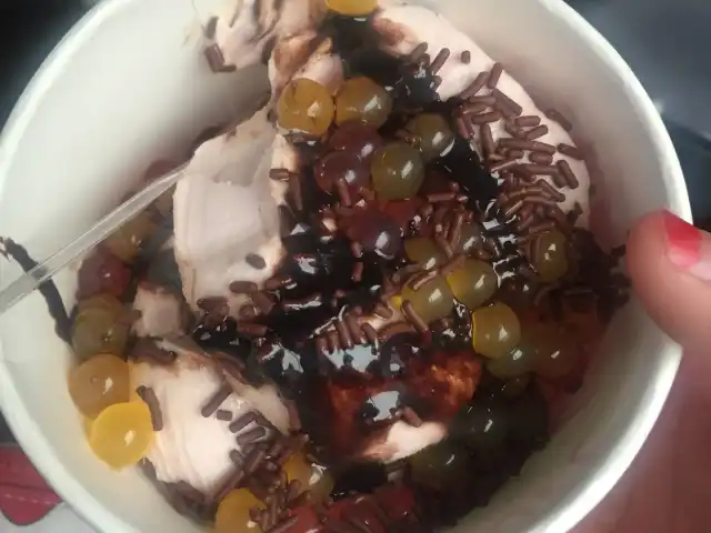 Snogurt Food Photo 8