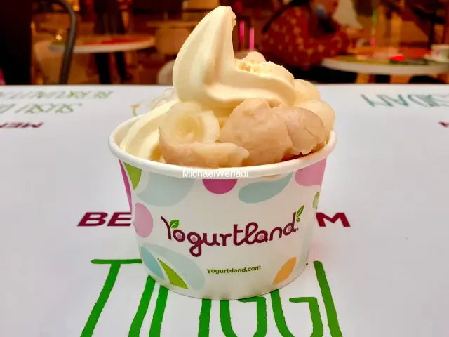 Gambar Makanan Yogurtland 8