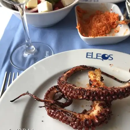 Eleos Restoran'nin yemek ve ambiyans fotoğrafları 74