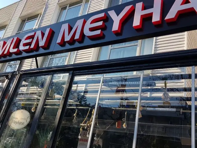 Ankara Demlen Meyhane'nin yemek ve ambiyans fotoğrafları 53