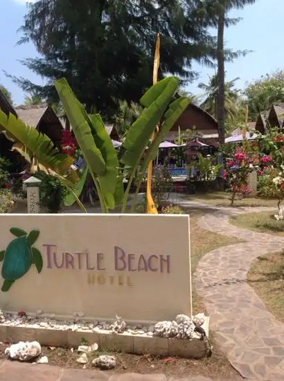Gambar Makanan Turtle Beach 4