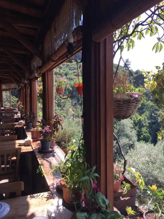 Kaplan Dağ Restaurant'nin yemek ve ambiyans fotoğrafları 19