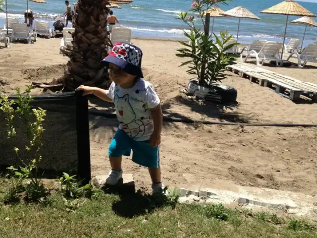 Zemuri Cafe Beach Restaurant'nin yemek ve ambiyans fotoğrafları 4