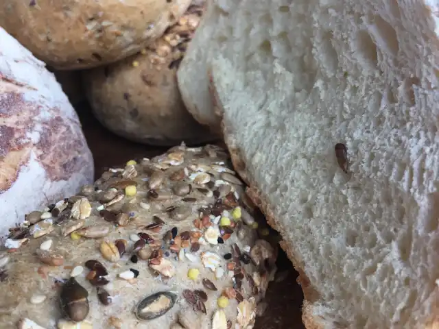 Karden Ekmek Fırını'nin yemek ve ambiyans fotoğrafları 10