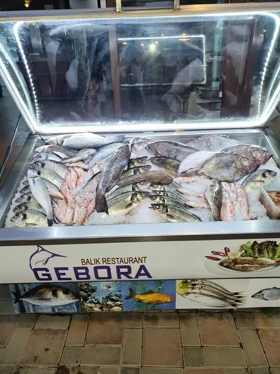 Gebora'nin yemek ve ambiyans fotoğrafları 14