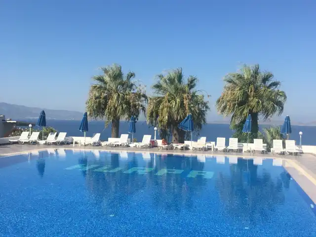 hürpa tatil sitesi havuz başı Bar&cafe'nin yemek ve ambiyans fotoğrafları 1