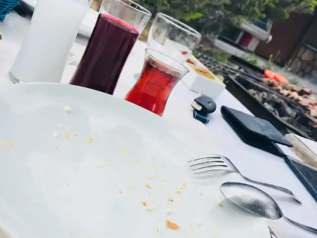 Çamlık Restaurant'nin yemek ve ambiyans fotoğrafları 14