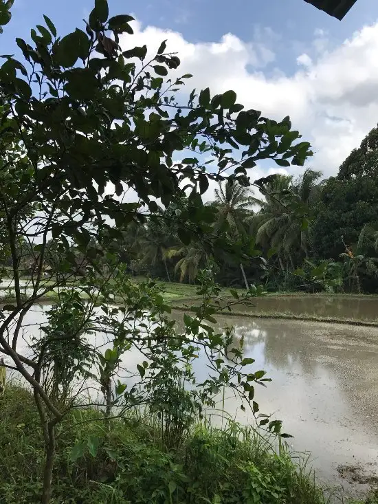 Gambar Makanan Dicarik Warung 6