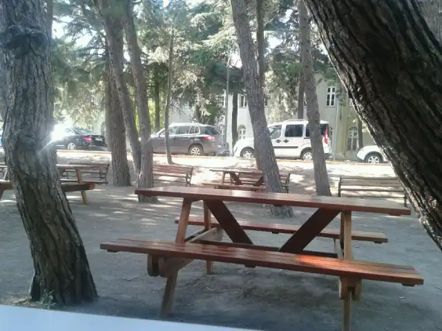 Yıldız Park Café'nin yemek ve ambiyans fotoğrafları 1